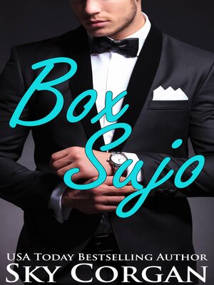 cover image of Box Sujo